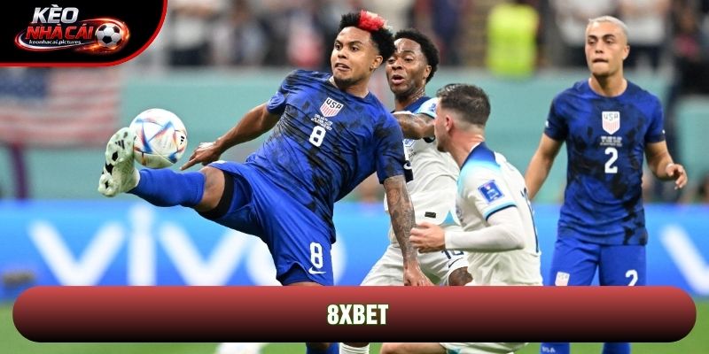 8xbet - Hệ Sinh Thái Cá Cược Đẳng Cấp Chinh Phục Cược Thủ