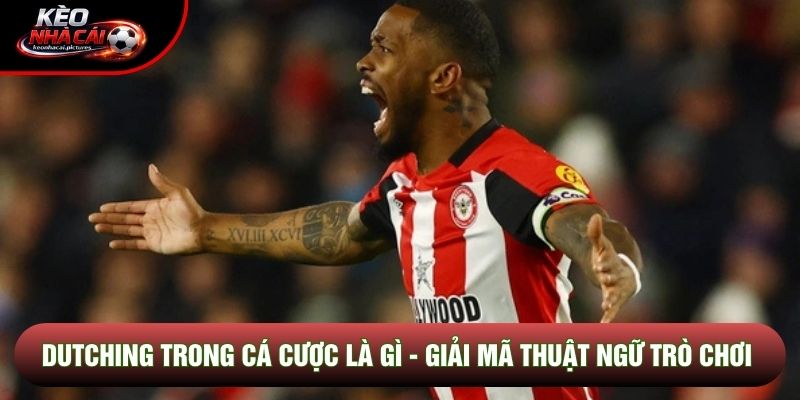 Dutching Trong Cá Cược Là Gì - Giải Mã Thuật Ngữ Trò Chơi