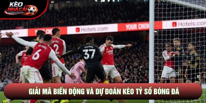 Giải mã biến động và dự đoán kèo tỷ số bóng đá Giải mã biến động và dự đoán kèo tỷ số bóng đá