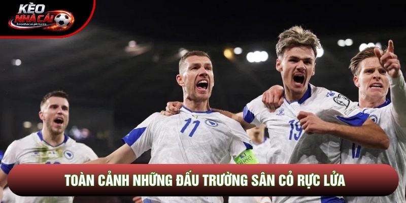 Toàn cảnh những đấu trường sân cỏ rực lửa
